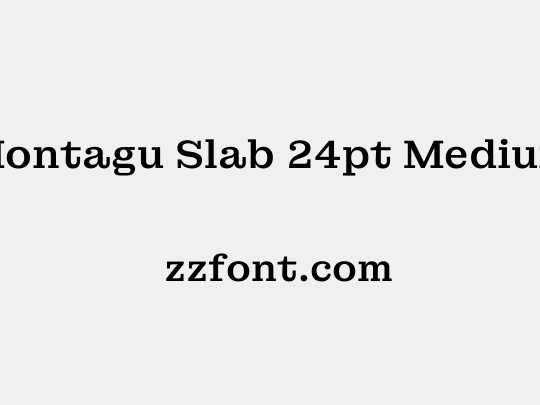 Montagu Slab 24pt Medium