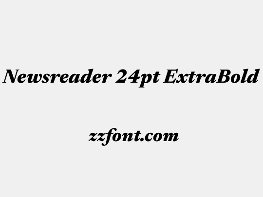 Newsreader 24pt ExtraBold