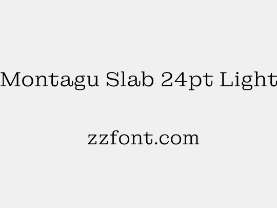 Montagu Slab 24pt Light