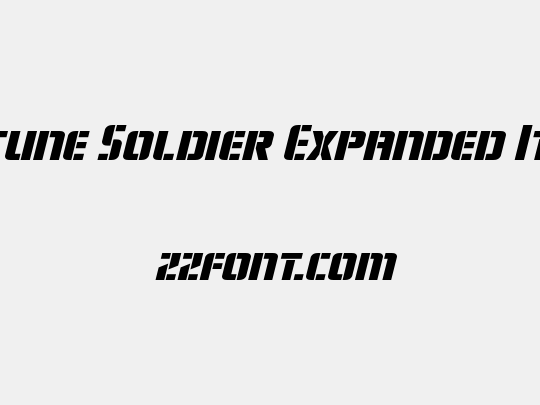 Fortune Soldier Expanded Italic