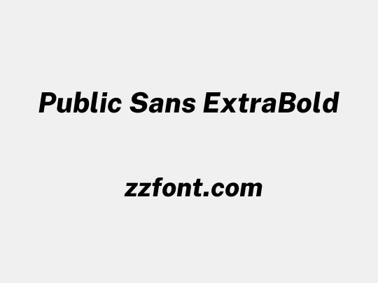 Public Sans ExtraBold