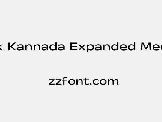 Anek Kannada Expanded Medium