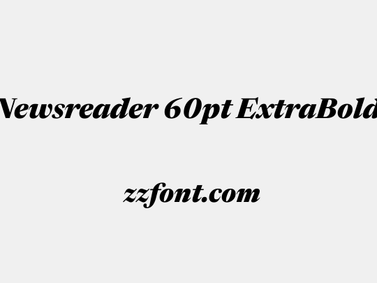 Newsreader 60pt ExtraBold