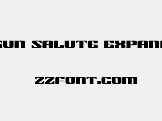 21 Gun Salute Expanded