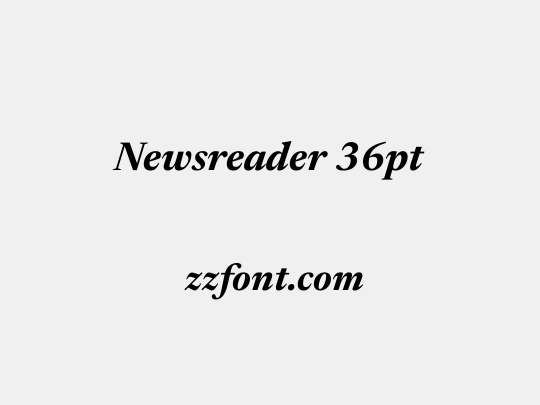 Newsreader 36pt
