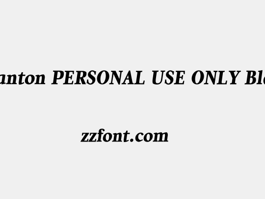 Quanton PERSONAL USE ONLY Black