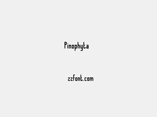 Pinophyta 