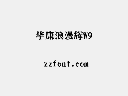 华康浪漫辉W9
