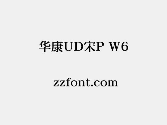 华康UD宋P W6