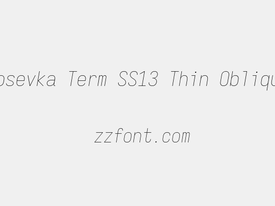 Iosevka Term SS13 Thin Oblique