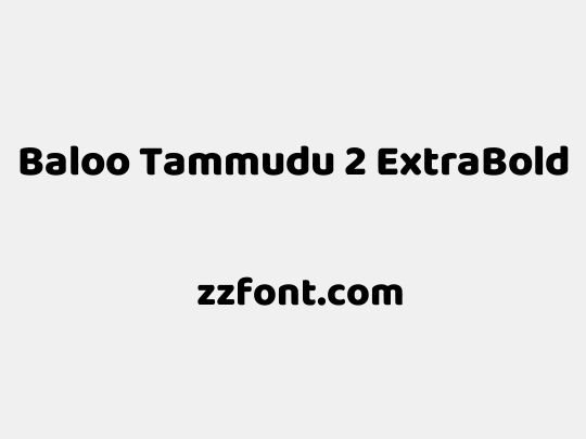 Baloo Tammudu 2 ExtraBold