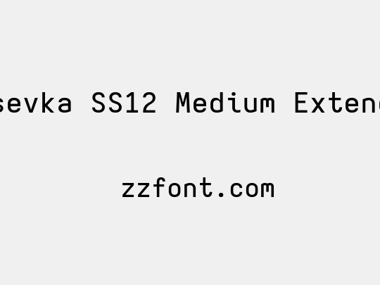 Iosevka SS12 Medium Extended