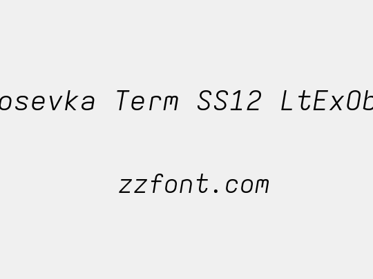 Iosevka Term SS12 LtExObl