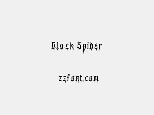 Black Spider