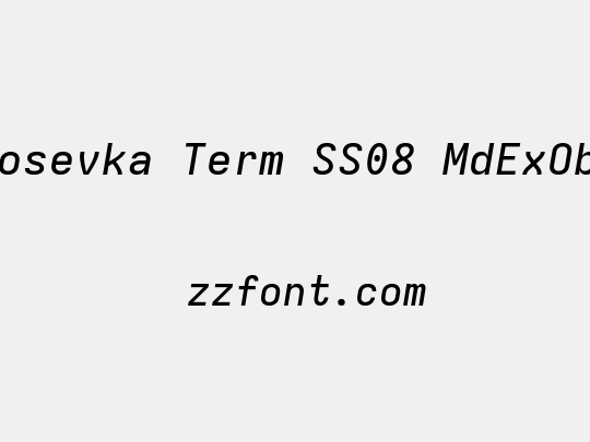 Iosevka Term SS08 MdExObl