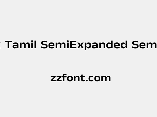 Anek Tamil SemiExpanded SemiBold
