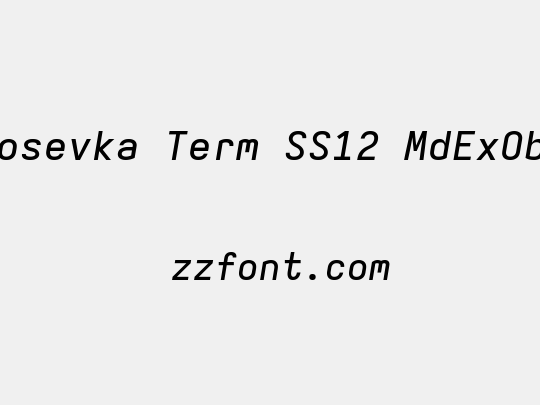Iosevka Term SS12 MdExObl