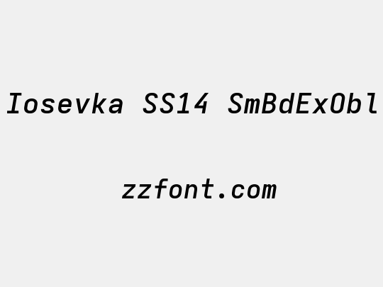 Iosevka SS14 SmBdExObl