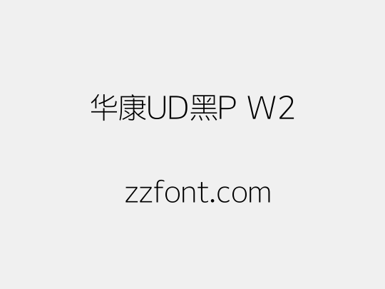 华康UD黑P W2