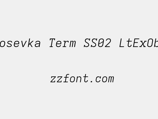 Iosevka Term SS02 LtExObl