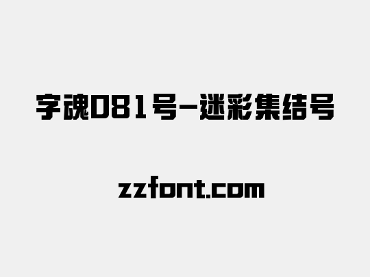 字魂081号-迷彩集结号