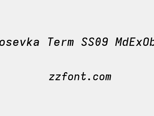 Iosevka Term SS09 MdExObl