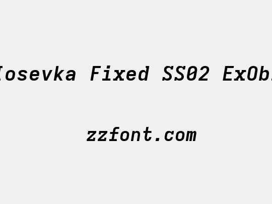 Iosevka Fixed SS02 ExObl