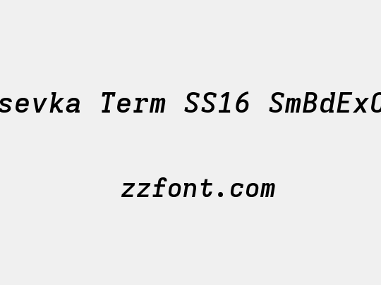 Iosevka Term SS16 SmBdExObl