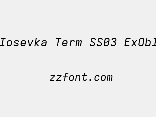 Iosevka Term SS03 ExObl