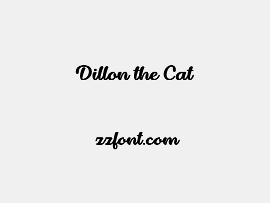 Dillon the Cat