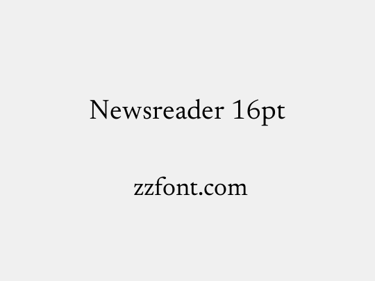 Newsreader 16pt