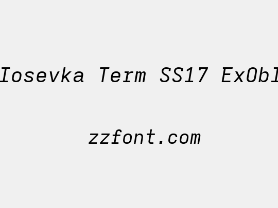 Iosevka Term SS17 ExObl