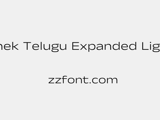 Anek Telugu Expanded Light