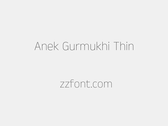 Anek Gurmukhi Thin