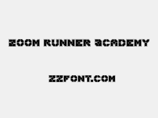 Zoom Runner Academy