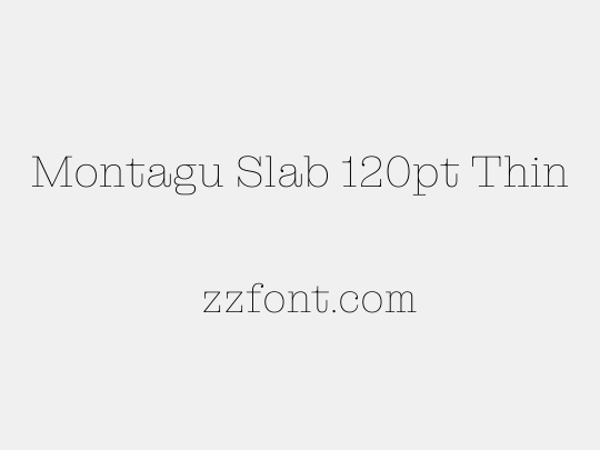 Montagu Slab 120pt Thin