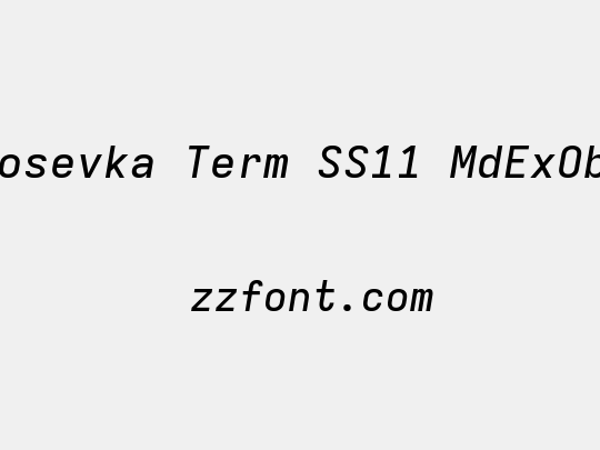 Iosevka Term SS11 MdExObl
