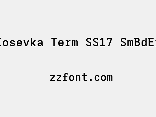 Iosevka Term SS17 SmBdEx