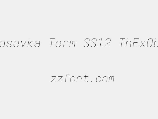 Iosevka Term SS12 ThExObl