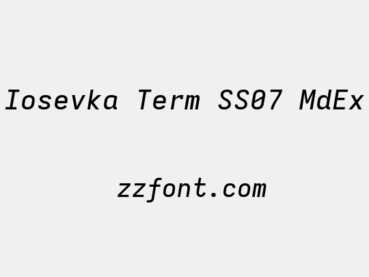 Iosevka Term SS07 MdEx