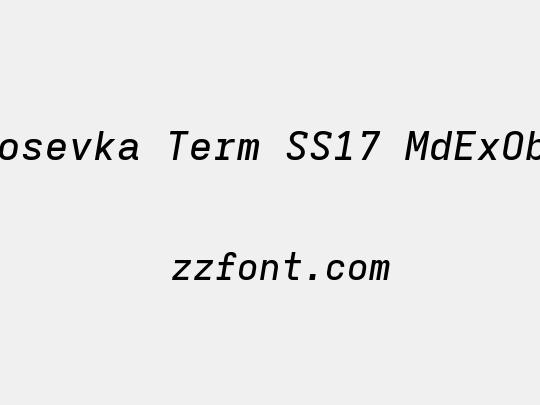 Iosevka Term SS17 MdExObl