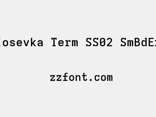 Iosevka Term SS02 SmBdEx