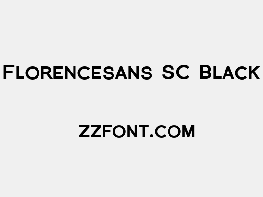 Florencesans SC Black