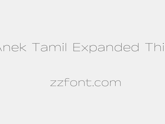 Anek Tamil Expanded Thin