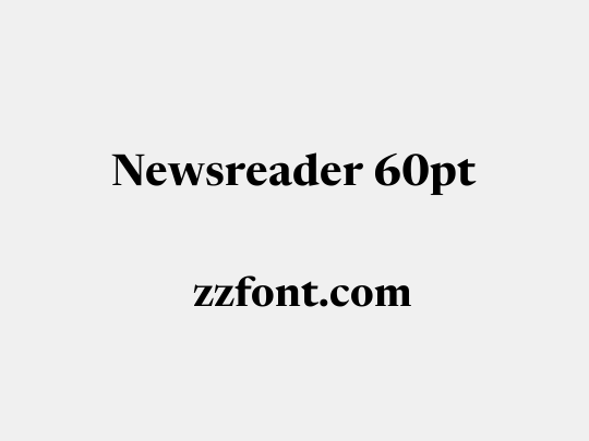 Newsreader 60pt