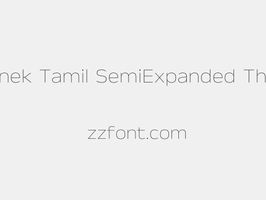 Anek Tamil SemiExpanded Thin