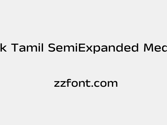 Anek Tamil SemiExpanded Medium