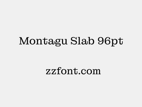 Montagu Slab 96pt