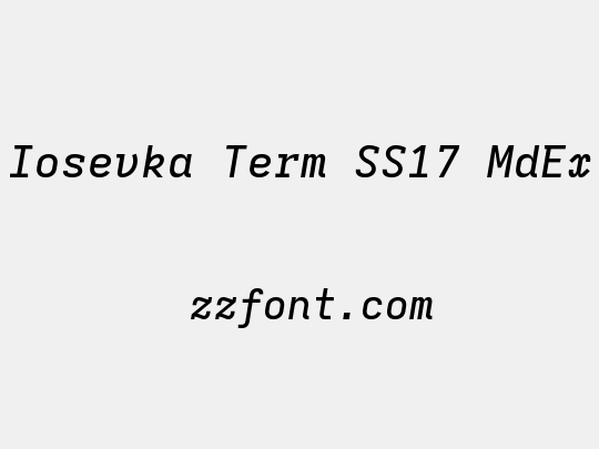 Iosevka Term SS17 MdEx
