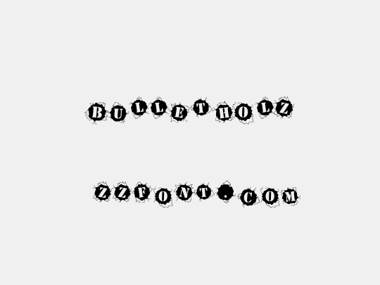 BulletHolz